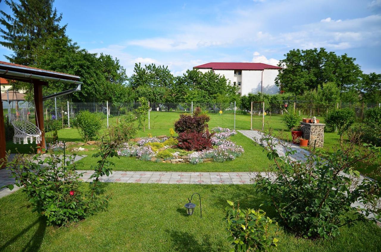 Pensiune Artemis 3*